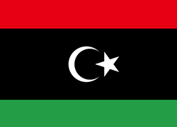 Libya International Transport Services Between